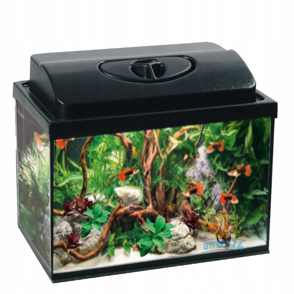 AKWARIUM 40L PROSTE 40x25x40cm+Pokrywa+4gratisy - 12011282817 ...