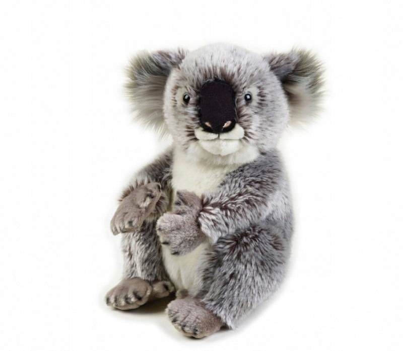 Pluszak National Geographic Koala 26 cm