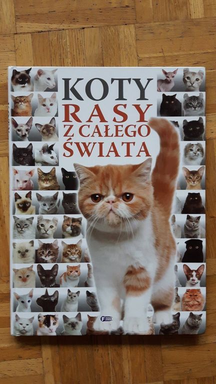 Książka Rasy kotów z całego świata Kocia Łapka
