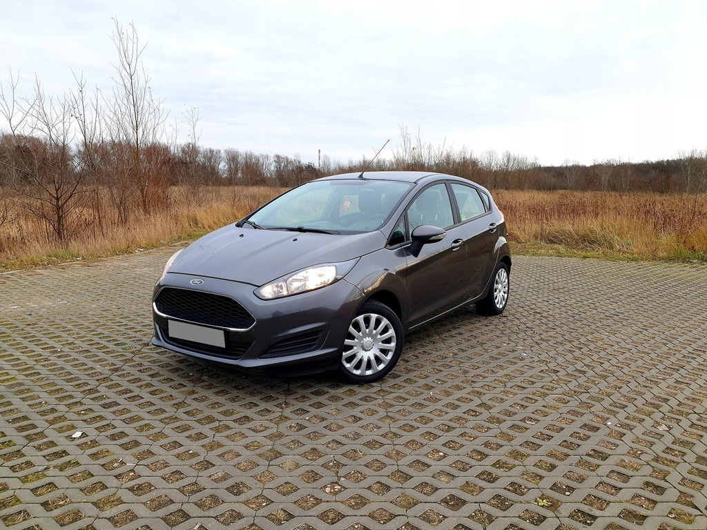 Купить FORD FIESTA 1.5 TDCI PDC АВТОСАЛОН ПОЛЬША - ИДЕАЛ!: отзывы, фото, характеристики в интерне-магазине Aredi.ru