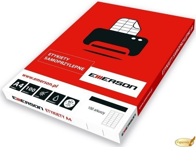 Etichette Adesive In Poliestere Bianco A3, 297x420mm, 1 Etichetta Per Foglio | LP3P-297420 | Avery Zweckform - Foto 9