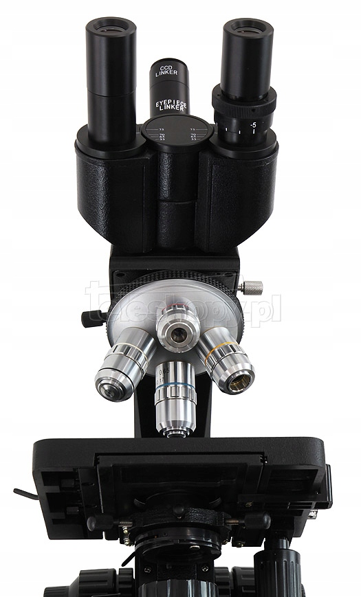 Mikroskop Levenhuk D870T z kamerą 8 MPix CHORZÓW - 7565159538 ...
