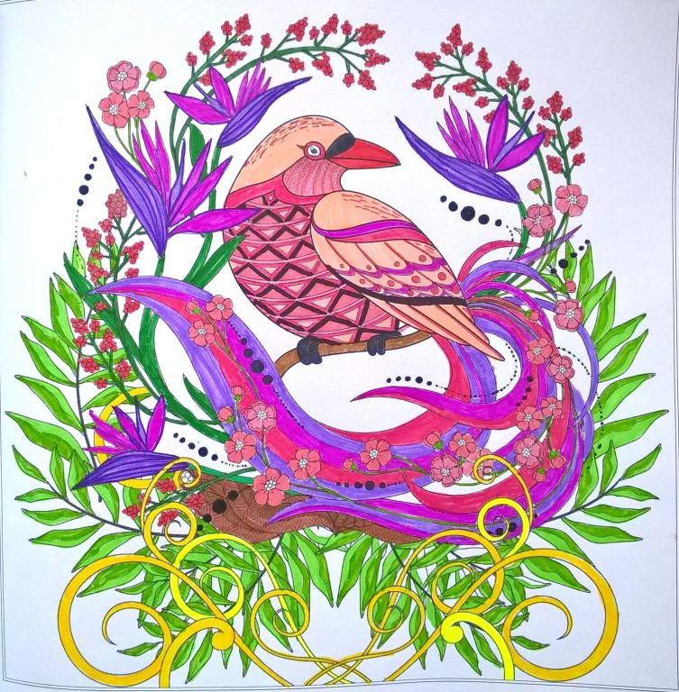 Rysunek obrazek włosnoręczna praca rajski ptak paw