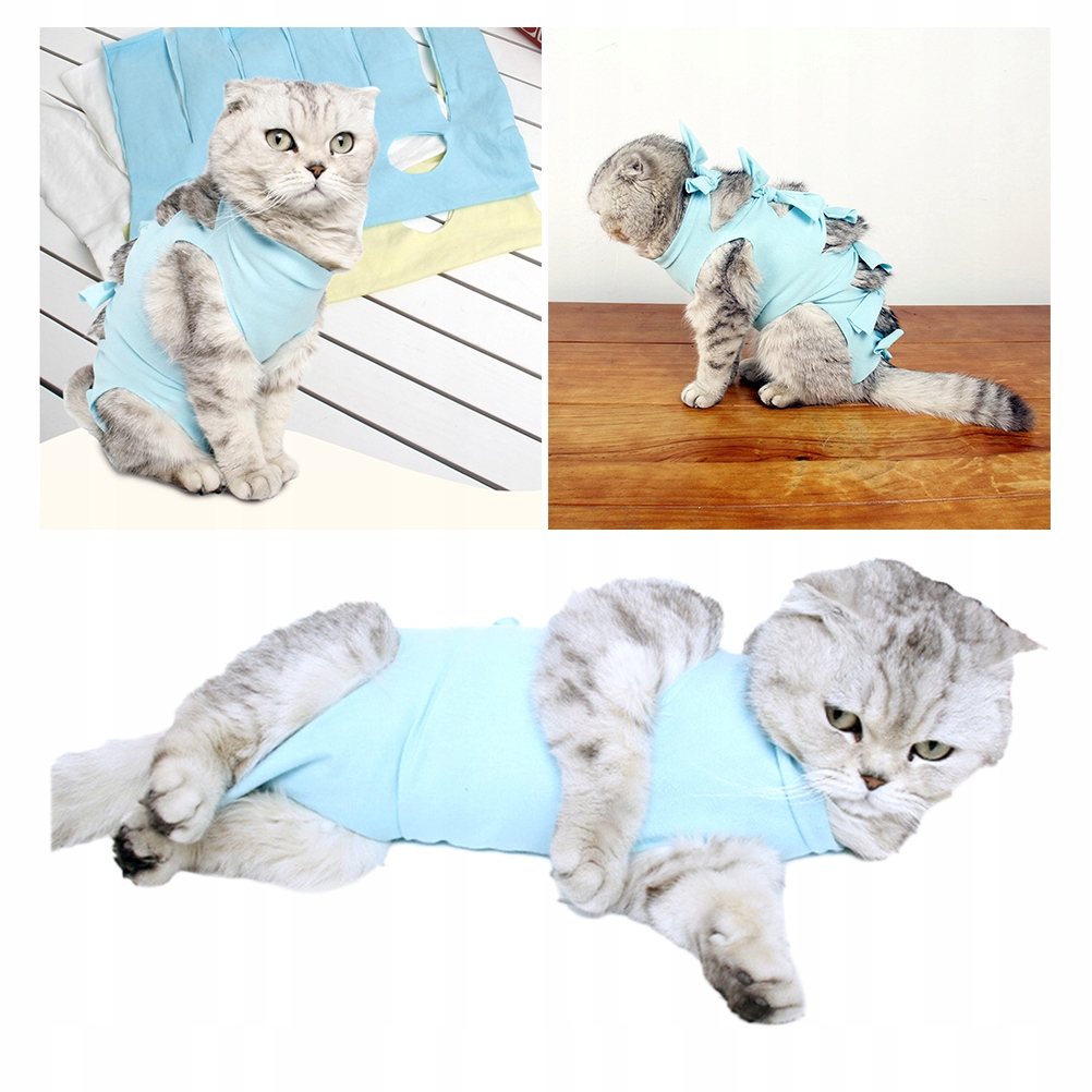 Creative Cat Neutering Clothes Anti-lick Costume