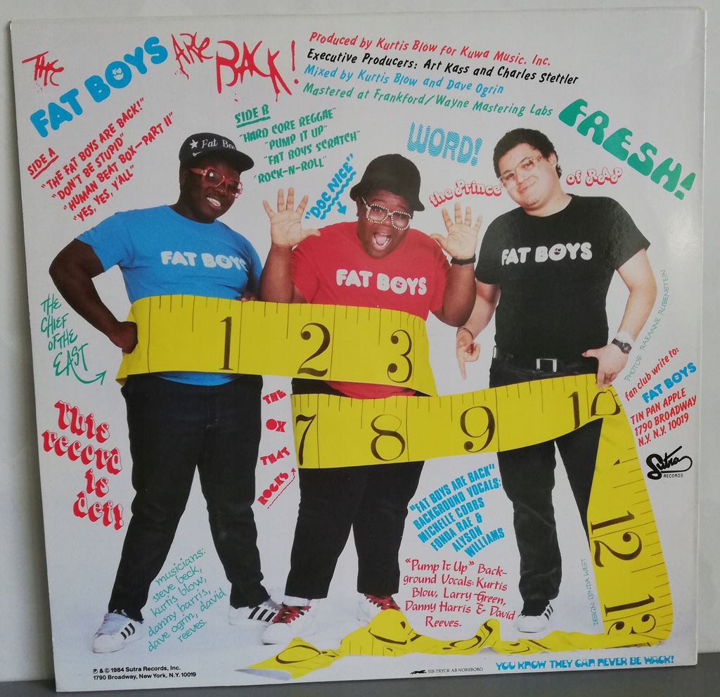 Купить Fat Boys - The Fat Boys Are Back VINYL USA: отзывы, фото, характеристики в интерне-магазине Aredi.ru