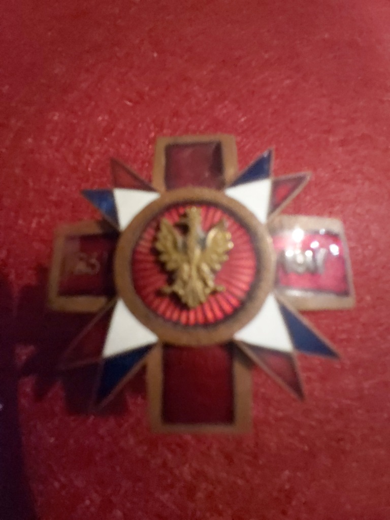 5 Pułk Ułanów Zasławskich - Odznaka oryginał