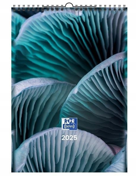 KALENDARZ 2025 ŚCIENNY A3 NATURE OXFORD