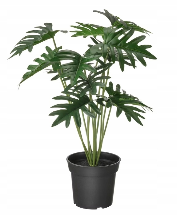 IKEA FEJKA - sztuczna roślina filodendron 15 cm