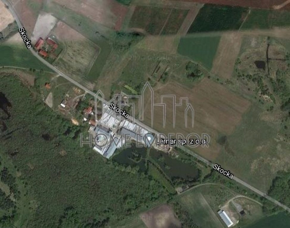 Działka, Potrzanowo, Skoki (gm.), 13092 m²