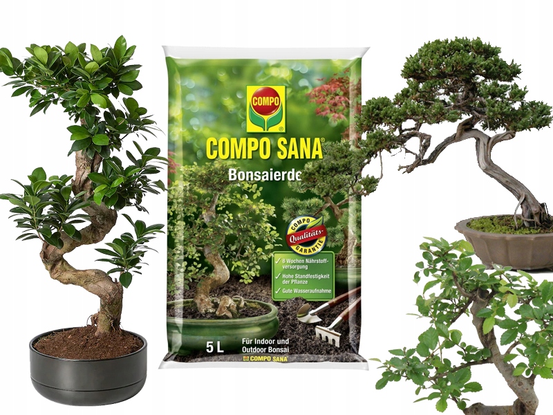 Купить Субстрат, грунт для бонсай 5л COMPO SANA: отзывы, фото и ...