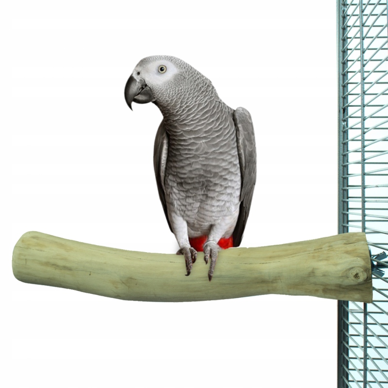 Żerdź prosta dla średnich i dużych papug JAVA L