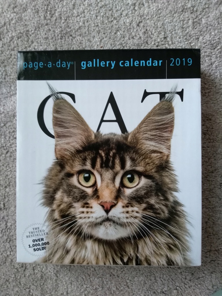 Kalendarz Cat 2019 Page-A-Day Gallery Calendar