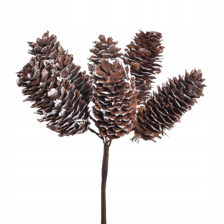 szyszka na piku 11cm, 12pęcz. x 6szt. 162CAN10047