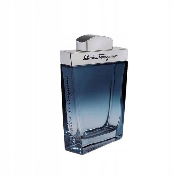 Salvatore Ferragamo Subtil Pour Homme EDT 100ml (M) (P2)