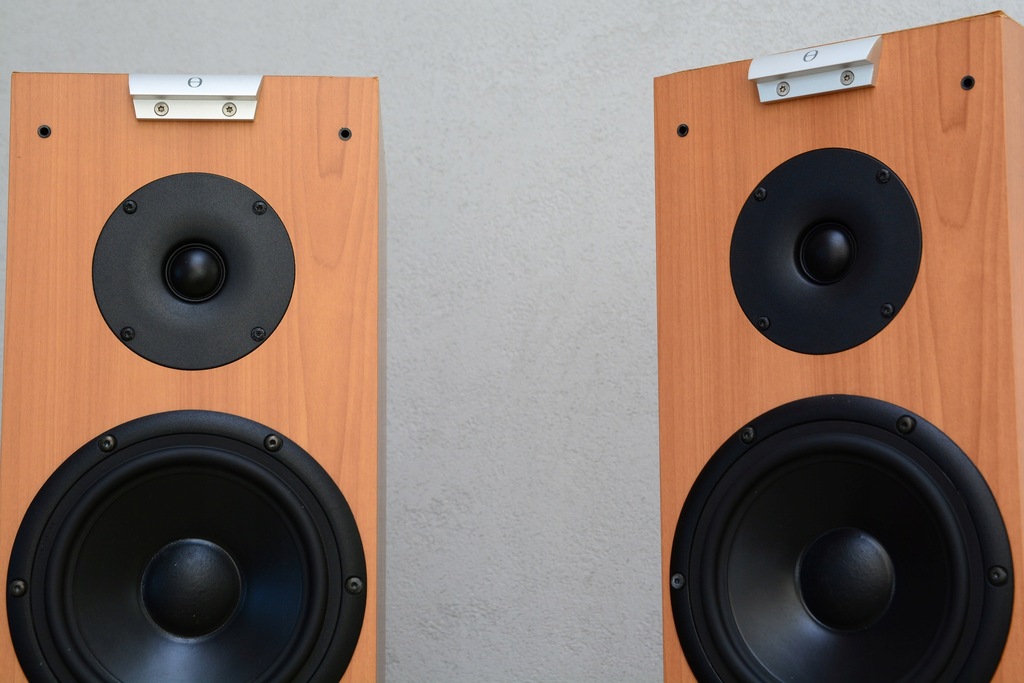 Купить AudioVector Стереодинамики C-Series C2 MKII: отзывы, фото и ...