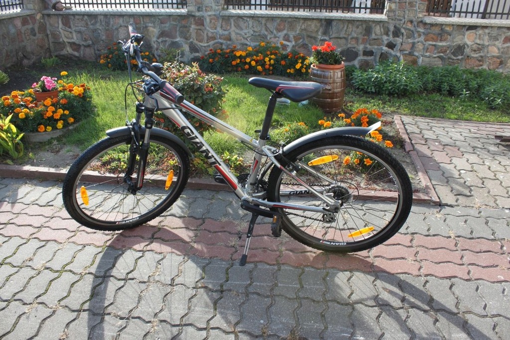 giant revel xxs