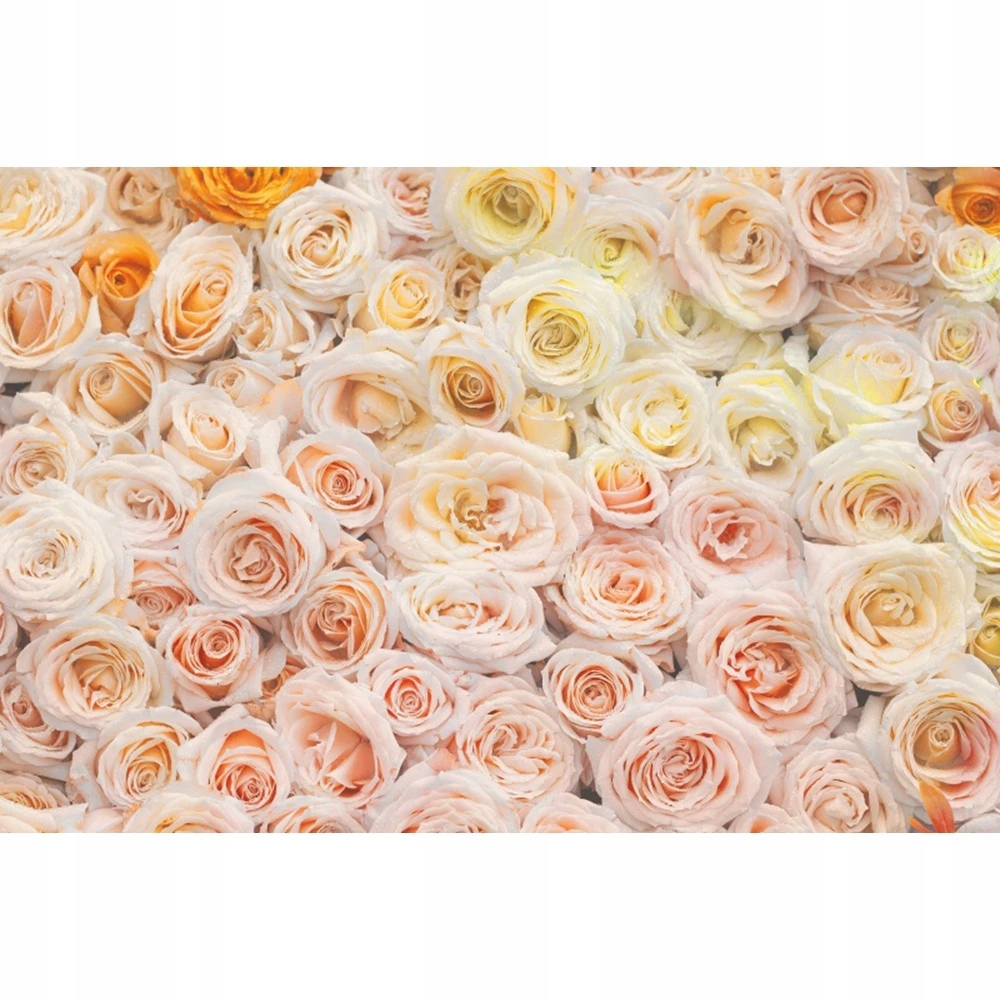 TŁO FOTOGRAFICZNE do 200x300cm walentynki Photocall róża ściana kwiatów ślu