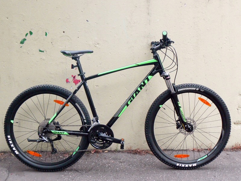 giant terrago 29 2018