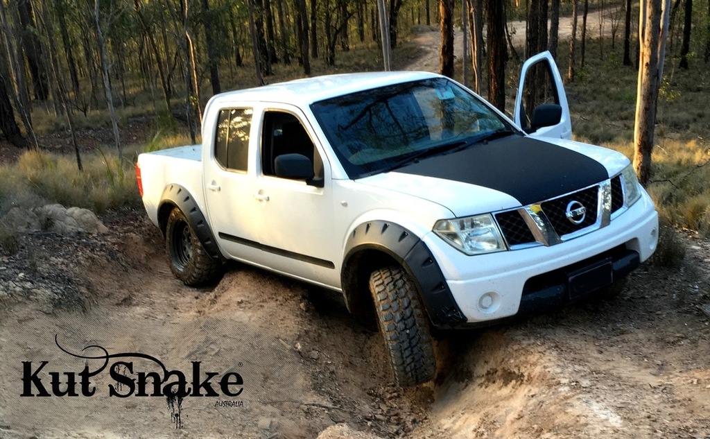 Navara d40
