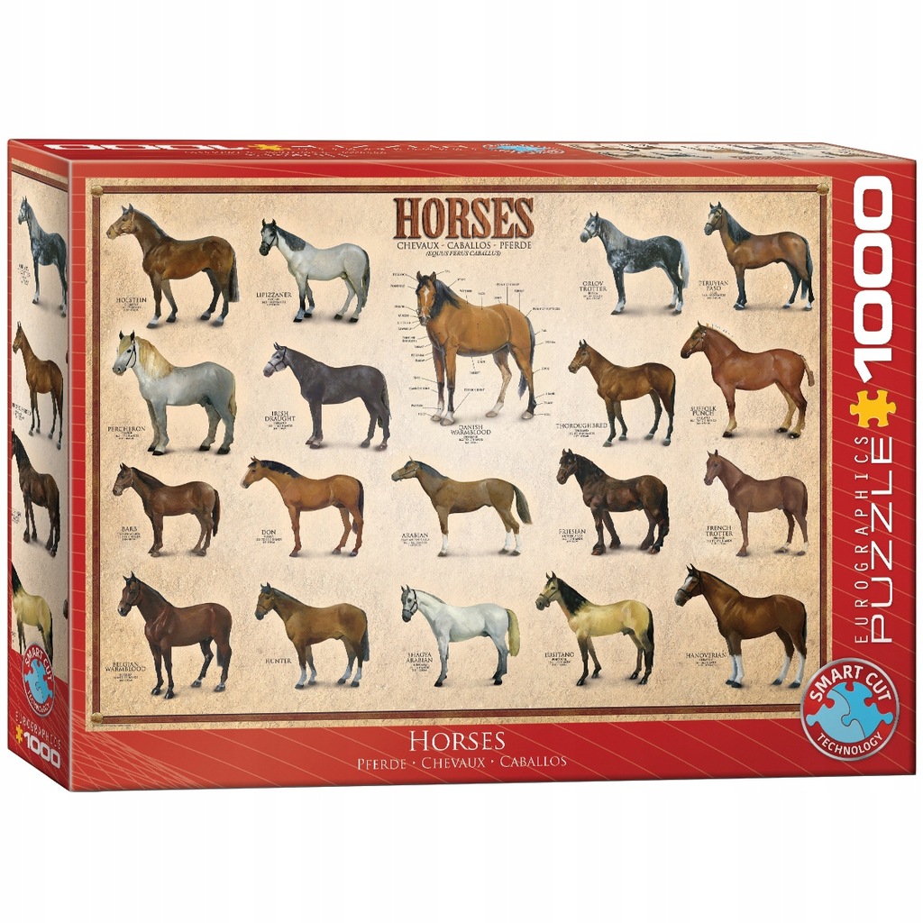 Puzzle 1000 Horses 6000-0078