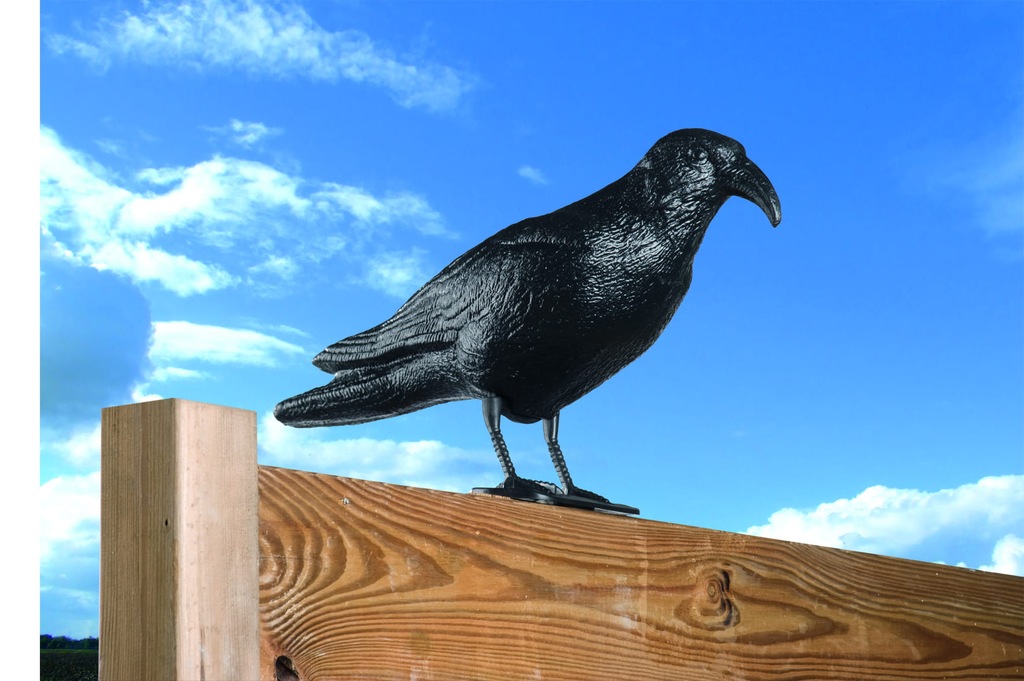  Отпугиватель птиц голубей манекен вороны 42,5см: отзывы, фото и .