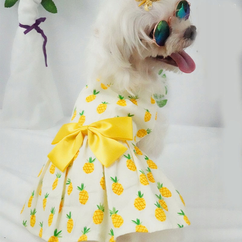 Letnia sukienka z nadrukiem dla psa bawełniana