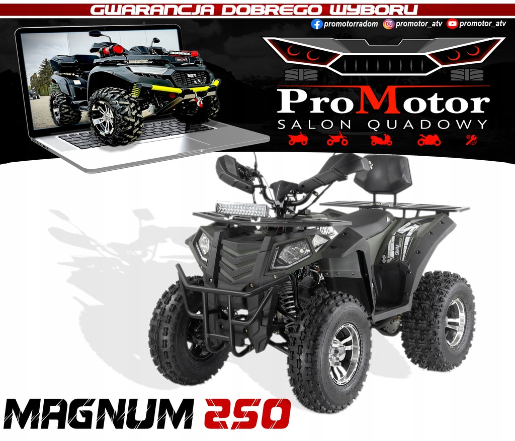 Купить MAGNUM POLARISS 250cc HAK, самый мощный ProMotor: отзывы, фото, характеристики в интерне-магазине Aredi.ru