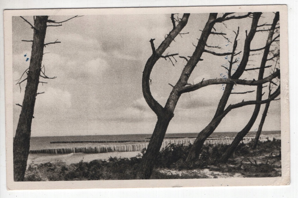 Jastarnia, na wybrzeżu, -J137