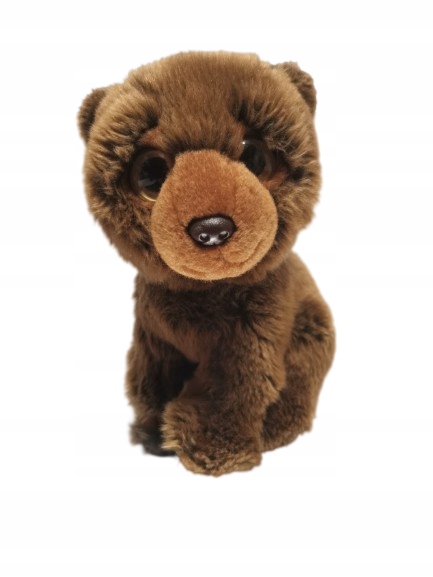 TY Wild Best niedźwiedź Yukon duża maskotka miś 26cm kolekcja 2011