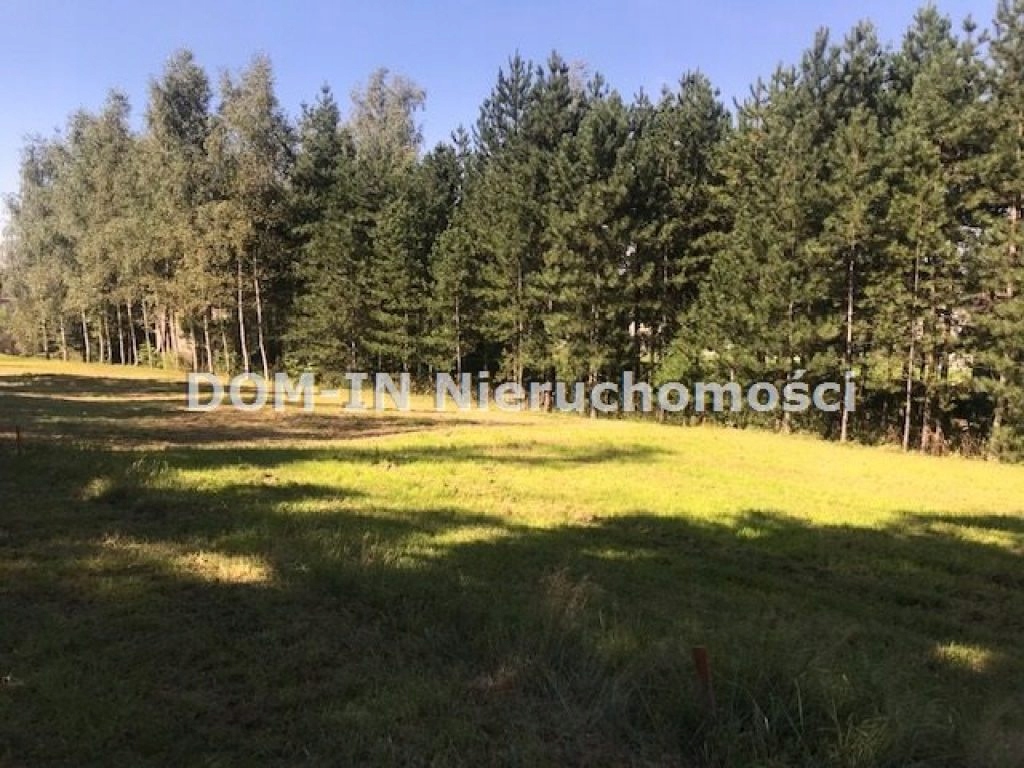 Działka, Godów (gm.), Wodzisławski (pow.), 706 m²