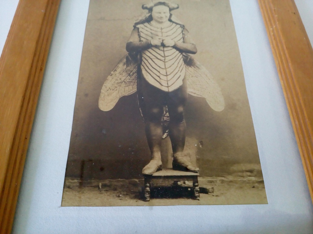 Купить Открытка Человек летать в рамке: отзывы, фото, характеристики в интерне-магазине Aredi.ru