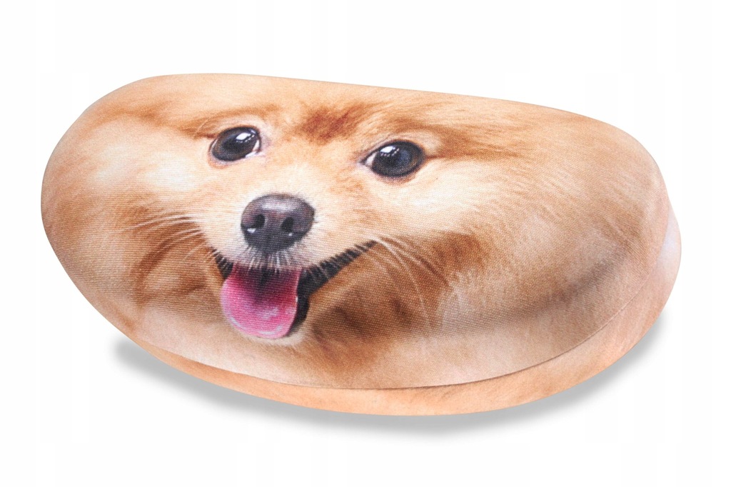 Etui na Okulary przeciwsłoneczne Albinex 70.018 C2