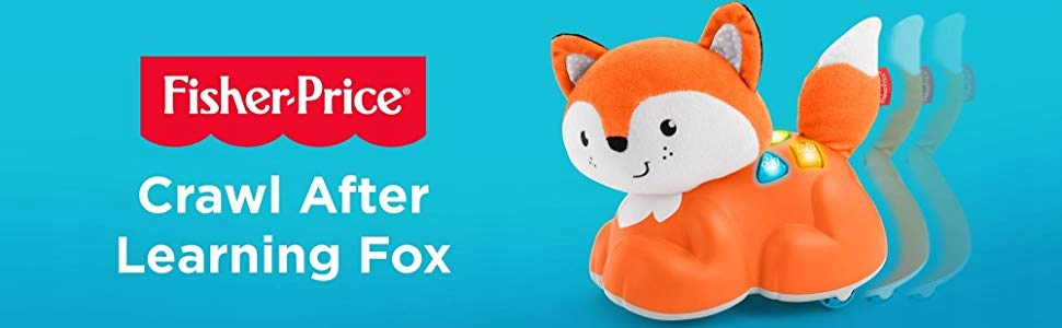crawl after learning fox