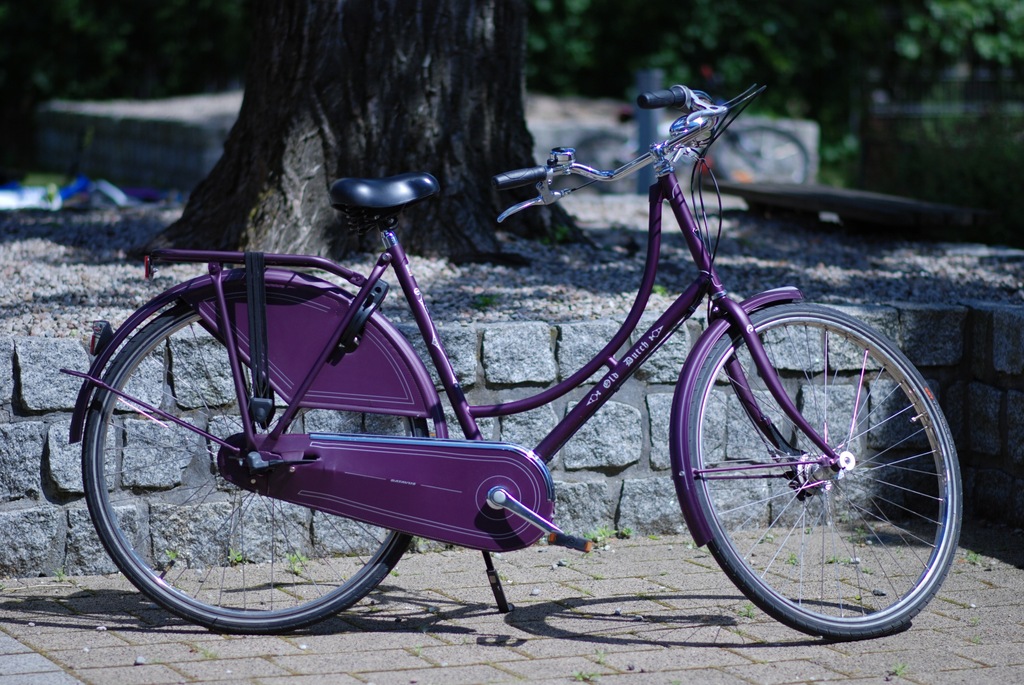 Batavus Old Dutch (56), holenderska dystrybucja