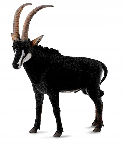 ANTYLOPA WIELKA SABLE SAMIEC L