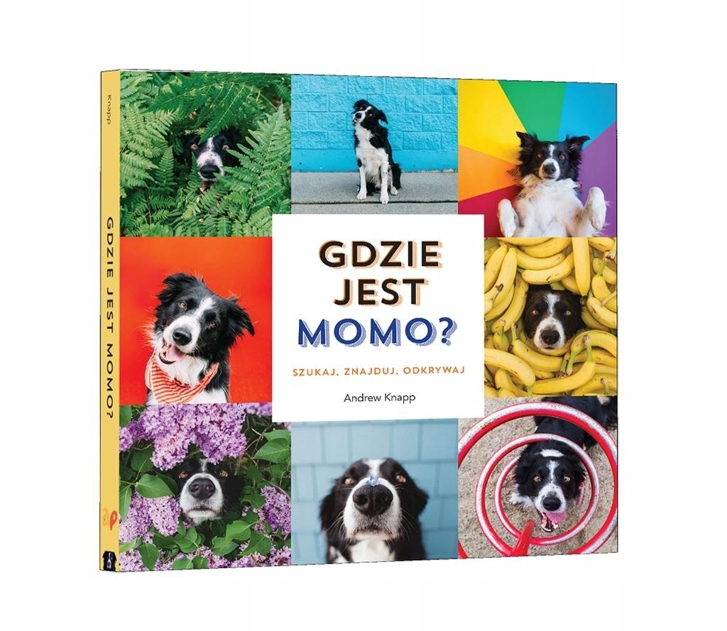 Gdzie jest Momo? Andrew Knapp Wydawnictwo Api Papi