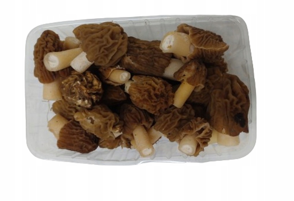 SMARDZÓWKA CZESKA / NAPARSTNICZKA - GRZYBY ŚWIEŻE SMARDZE 300G - ATEST