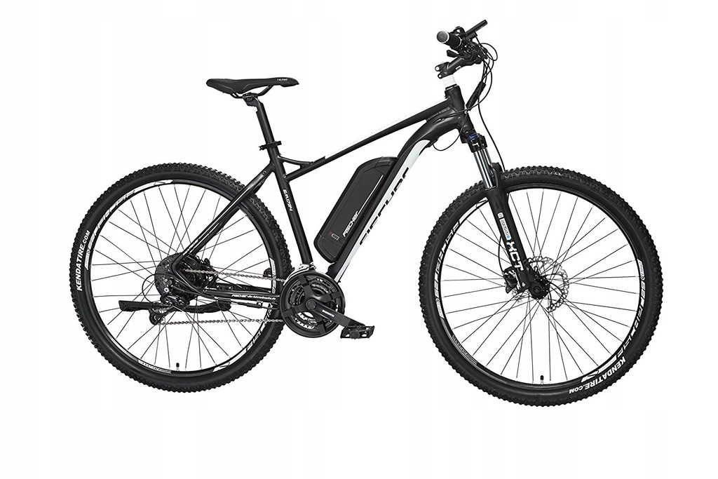 FISCHER Proline MTB E-Bike 29" EM 1724 2018