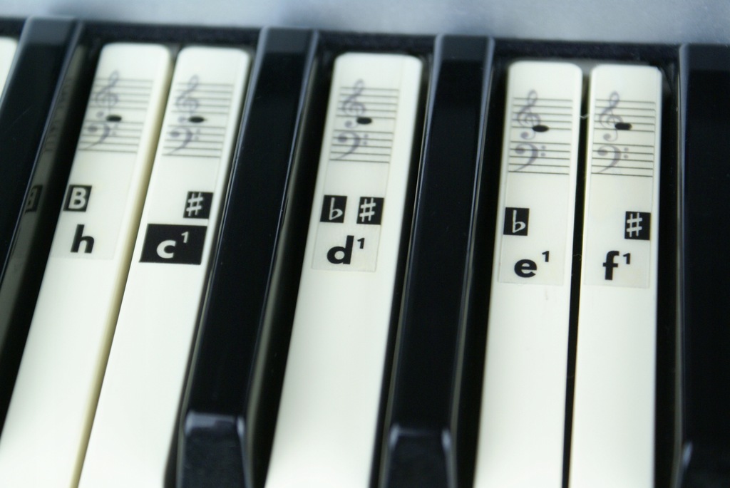 Etykiety nuty dźwięki ułatwiające naukę (keyboard)