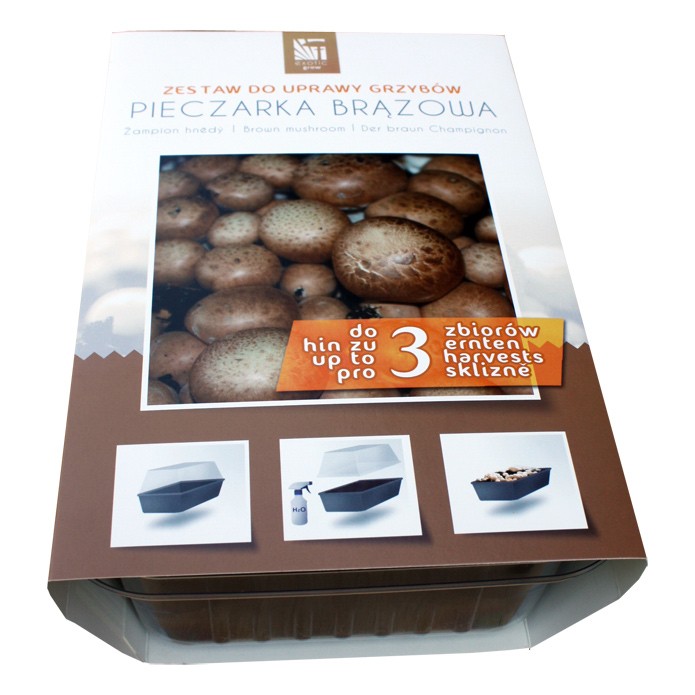 Pieczarka BRĄZOWA zestaw do uprawy 3l PLANTO EXOTIC GROW