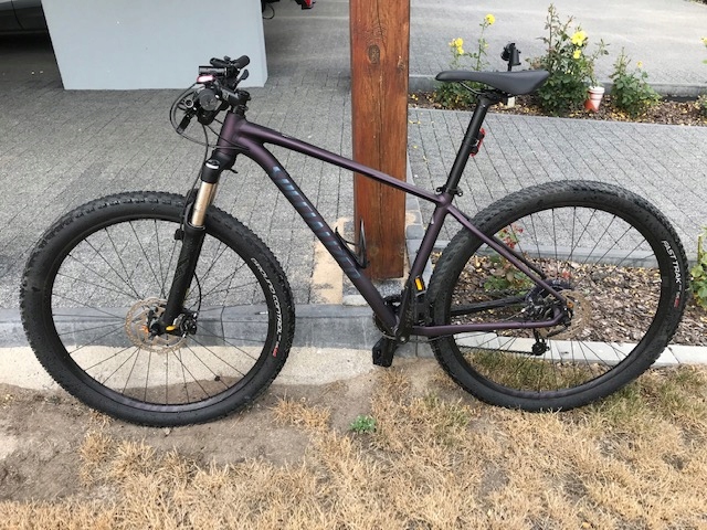 specialized rockhopper expert 2019 weight