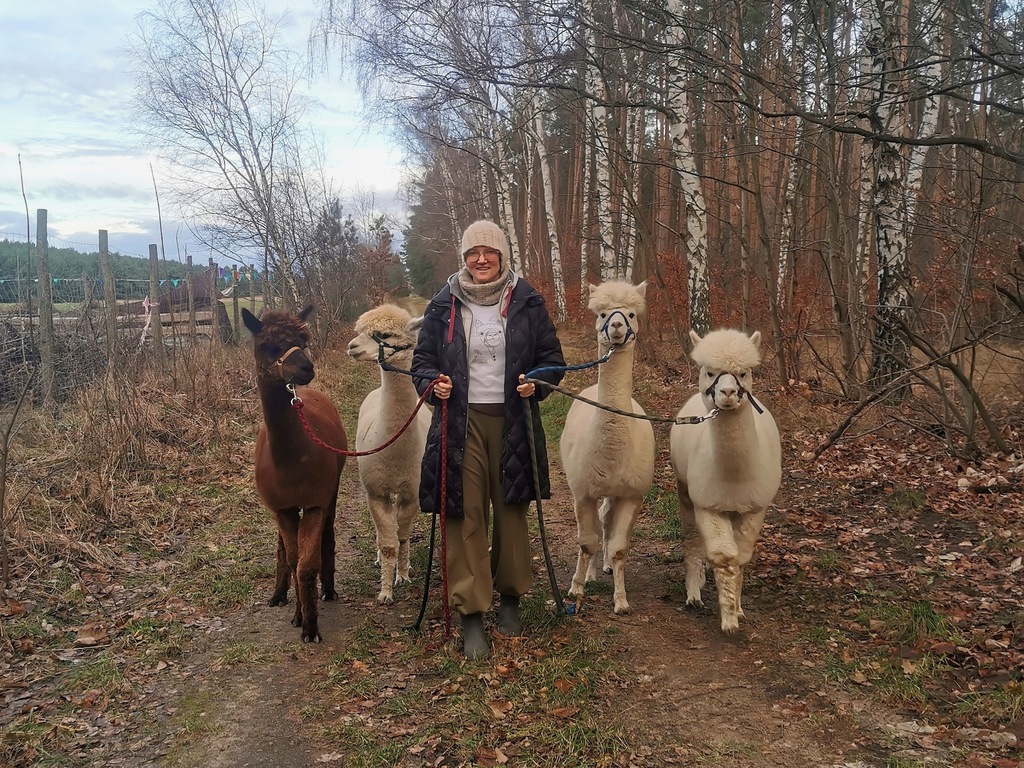 Spacer z alpakami ALPAKI TO TU WOJTKOWYJE alpaka 15012129025