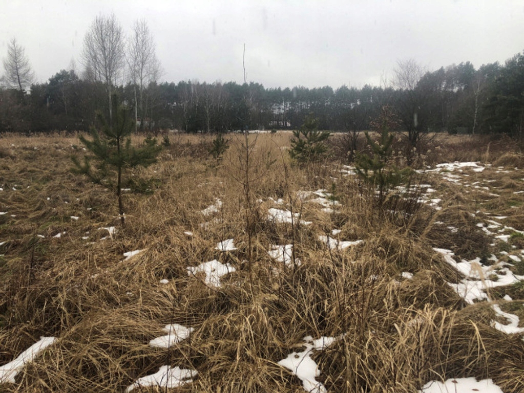 Działka, Dyrdy, Woźniki (gm.), 11300 m²