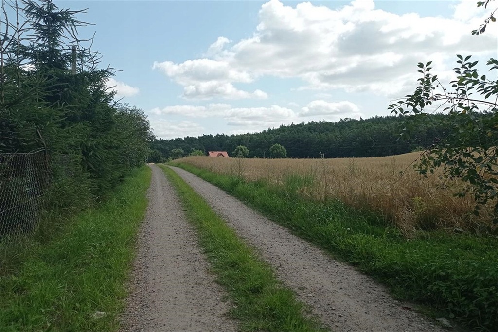 Działka, Gaj-Grzmięca, Zbiczno (gm.), 2600 m²