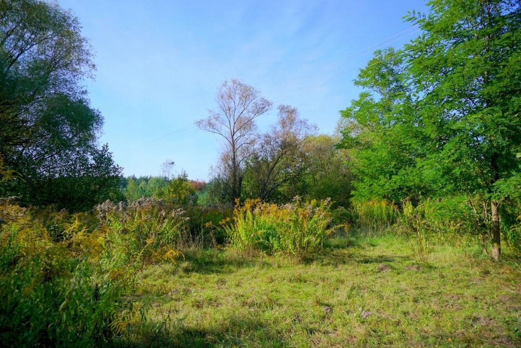 Działka Żabia Wola, grodziski, 2000,00 m²