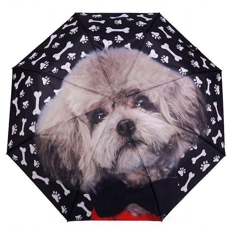 Shih Poo Umbrella Shih Poo Umbrella