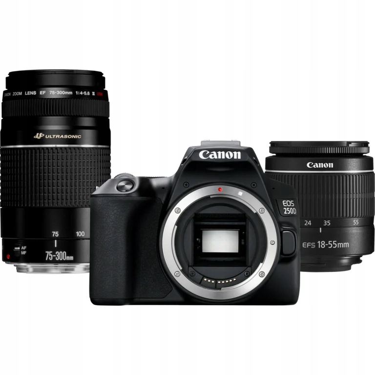 Canon EOS 250D + EF-S 18-55mm f/3.5-5.6 III + EF 75-300mm f/4-5.6 III Zesta