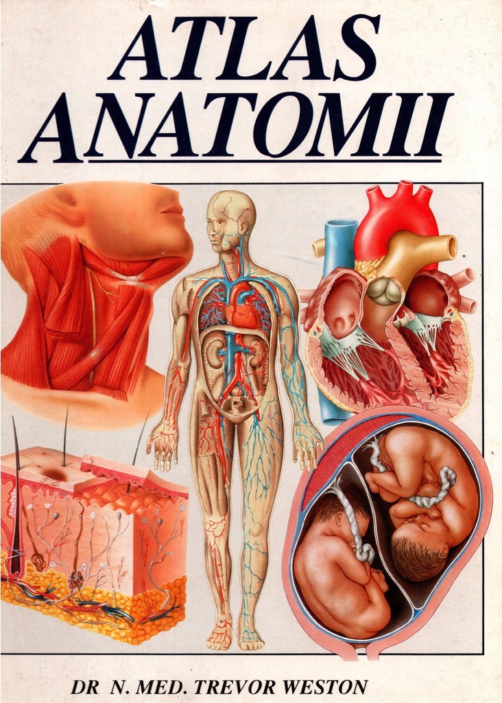 Atlas anatomii - dr n. med. Trevor Weston
