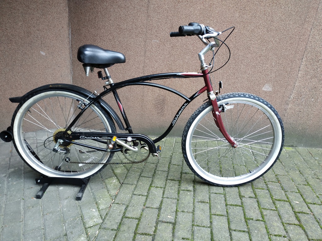 rower schwinn cruiser