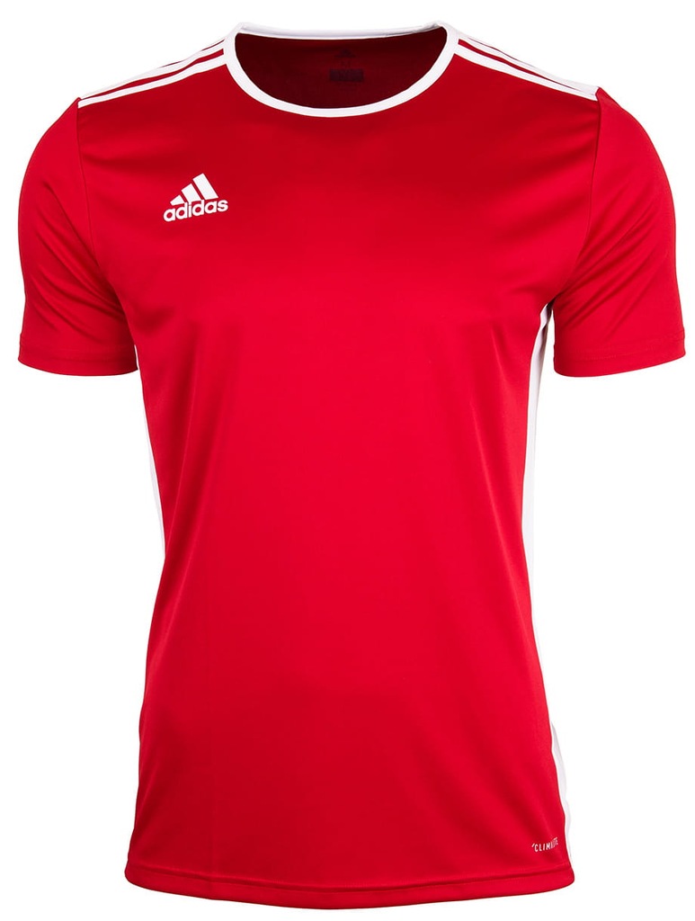 Adidas Koszulka Junior T-shirt Entrada 18 r.116